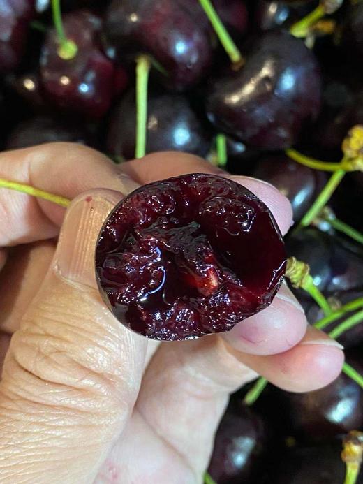 周三取货：【孔雀科迪亚2J车厘子】整箱5斤，甜度高，硬，脆，甜！ 商品图1