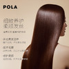 Pola宝丽 抚平毛躁滋润修复护发素棕色柔顺型540g 商品缩略图1