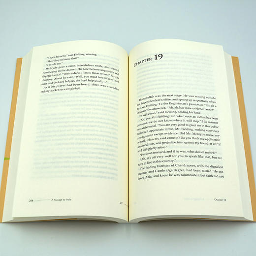 印度之行 商品图5