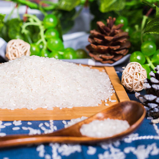 天谷长粒香 5kg 商品图5