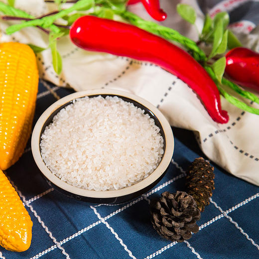 天谷精小站 5kg 商品图4