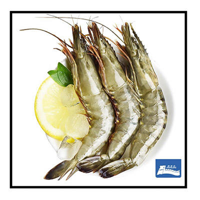 [东方冷食]家和臻品B款 5.2kg 商品图9