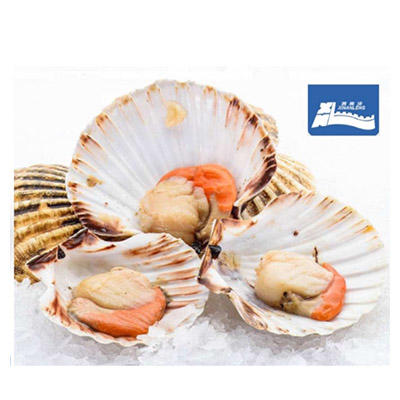 [东方冷食]家和臻品A款  4.4kg 商品图7