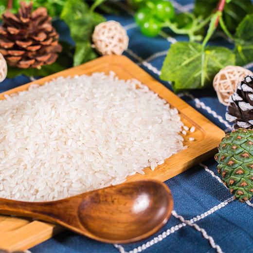 天谷长粒香 5kg 商品图1