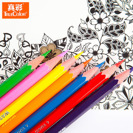 真彩水溶性彩色铅笔文具绘画美术工具 商品图1