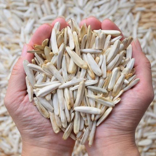 尖下巴马牙瓜子 原味500g/袋 商品图1