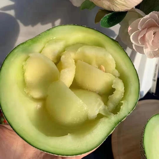 🍈玫龙软心·海南网纹瓜原价180参团138 商品图1