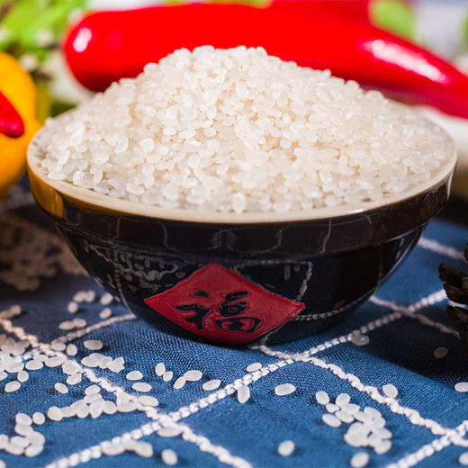 天谷精小站 5kg 商品图2