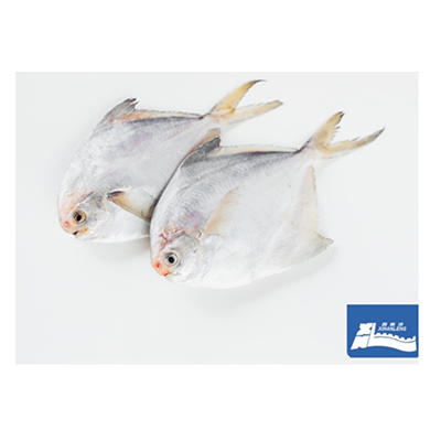 [东方冷食]家和臻品A款  4.4kg 商品图4