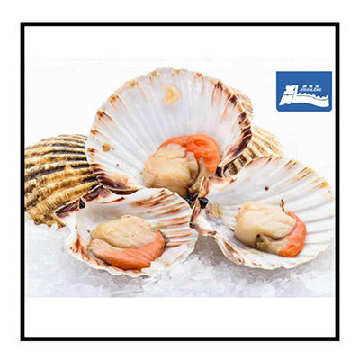 [东方冷食]家和臻品B款 5.2kg 商品图7