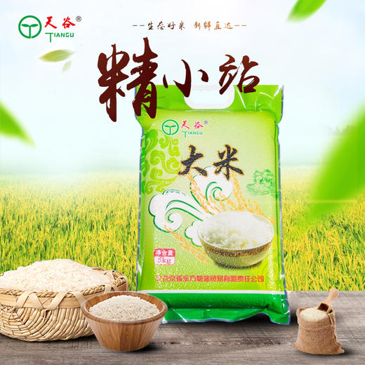 天谷精小站 5kg 商品图0