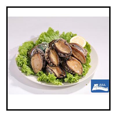 [东方冷食]家和臻品B款 5.2kg 商品图8