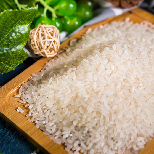 天谷长粒香 5kg 商品图2