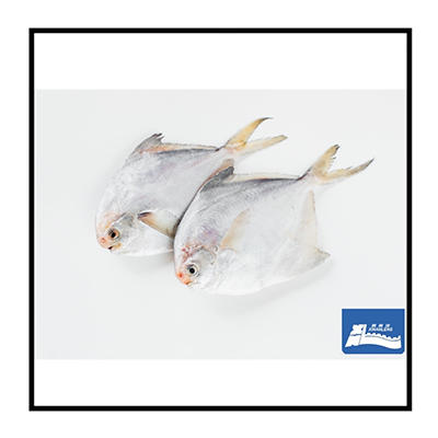 [东方冷食]家和臻品B款 5.2kg 商品图10