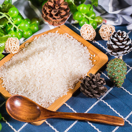 天谷长粒香 5kg 商品图3