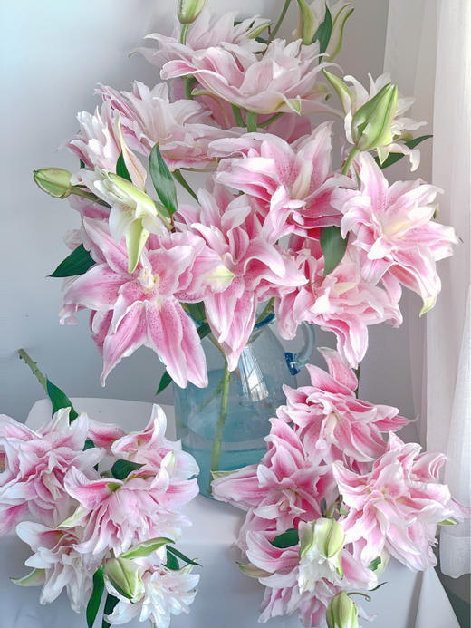 伊莎贝拉百合【我真的很喜欢你 像风走了八千里】简小姐精选稀有A级多头重瓣百合 伊莎贝拉10+2（防花损）个花头 2束包邮 下单7天内发货 商品图8