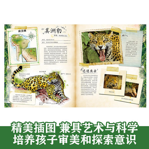 乐乐趣博物学家探秘手记拼插立体书 探秘雨林动物 商品图5