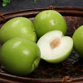 云南版纳苹果枣