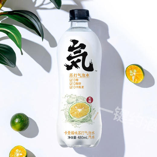 元気森林气泡水480ml多口味