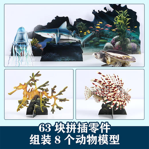 乐乐趣 博物学家探秘手记拼插立体书 探秘海洋动物 商品图2
