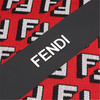 芬迪 FENDI (vetrina) FENDI MUFFLER 围巾JPY带授权招加盟代理 商品缩略图1