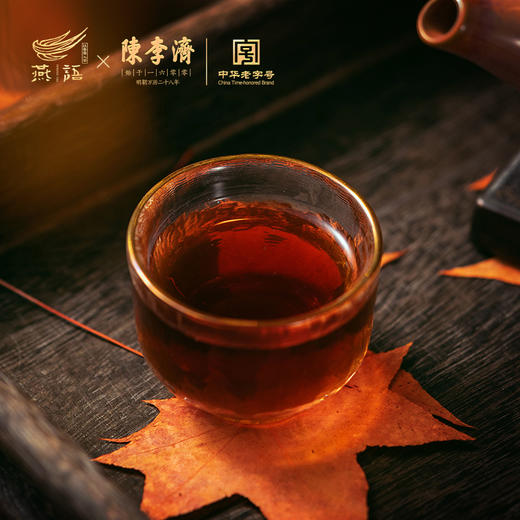 陈李济陈皮普洱熟茶0303 商品图4