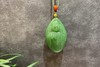 【御珠宫坊】碧玉佛挂件 商品缩略图2