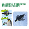 安利亚-ANI-615460皇帝企鹅（漂浮版） 商品缩略图2
