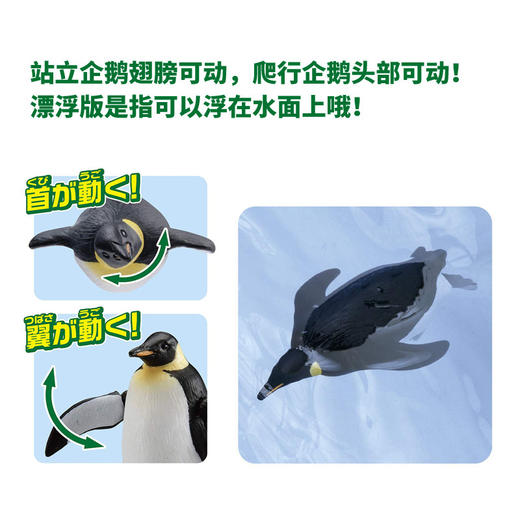 安利亚-ANI-615460皇帝企鹅（漂浮版） 商品图2