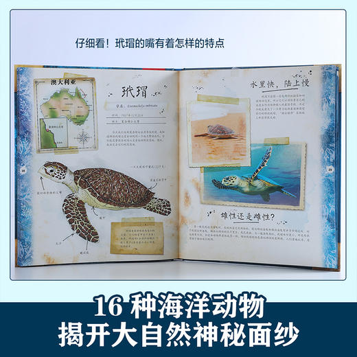 乐乐趣 博物学家探秘手记拼插立体书 探秘海洋动物 商品图1