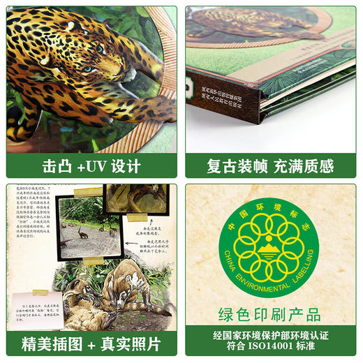 乐乐趣博物学家探秘手记拼插立体书 探秘雨林动物 商品图4