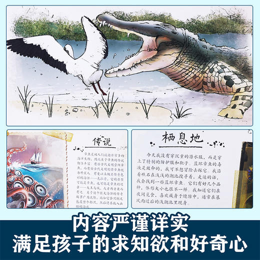 乐乐趣 博物学家探秘手记拼插立体书 探秘海洋动物 商品图3