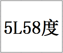 5L58度今世缘人生八喜珍藏纪念酒