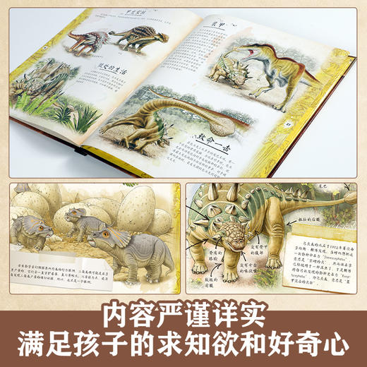 乐乐趣 博物学家探秘手记拼插立体书 探秘恐龙 商品图3