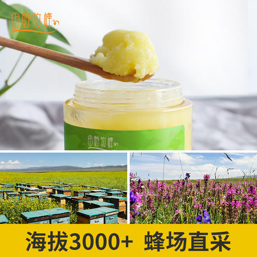 【2025新浆】青之藏蜂王浆田野牧蜂青海高原直采高活性鲜王浆蜜蜂蜂皇浆 商品图3