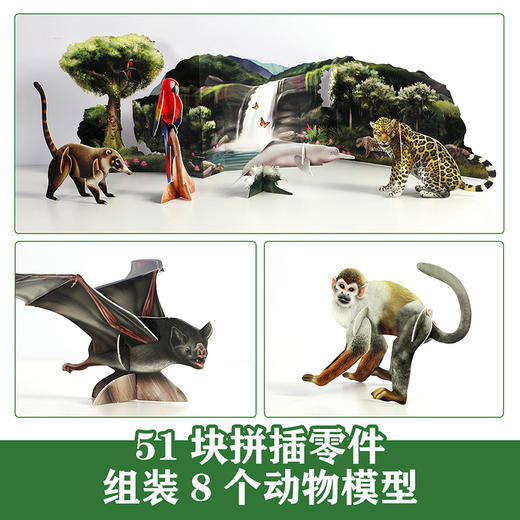乐乐趣博物学家探秘手记拼插立体书 探秘雨林动物 商品图2
