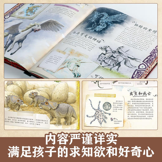 乐乐趣 博物学家探秘手记拼插立体书（共4册） 商品图3