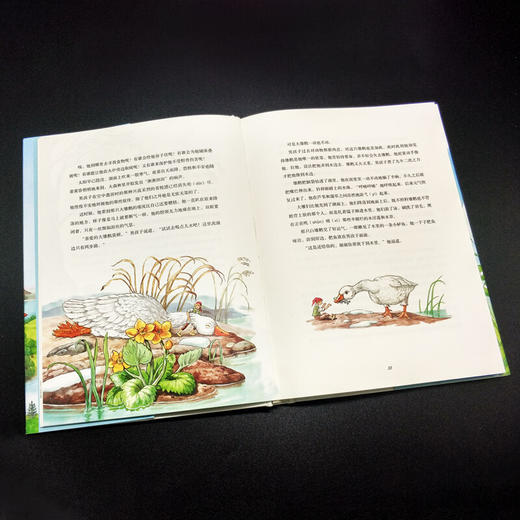 尼尔斯骑鹅旅行记 美绘珍藏版 7-14岁 世界名著 商品图3