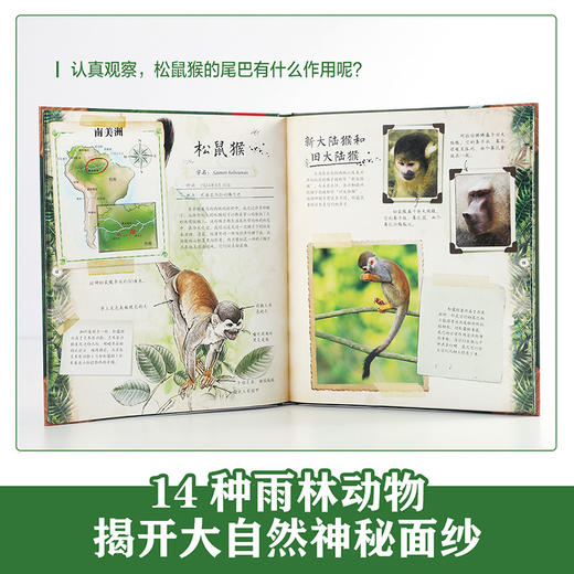 乐乐趣博物学家探秘手记拼插立体书 探秘雨林动物 商品图1