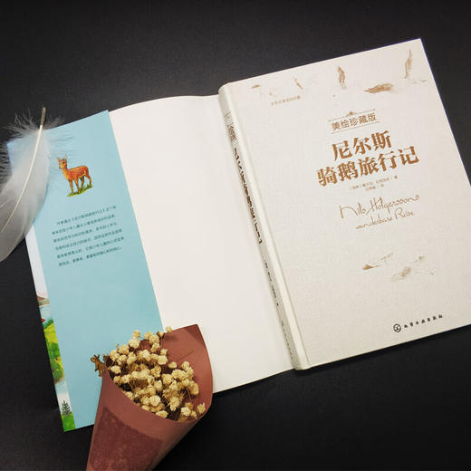 尼尔斯骑鹅旅行记 美绘珍藏版 7-14岁 世界名著 商品图2