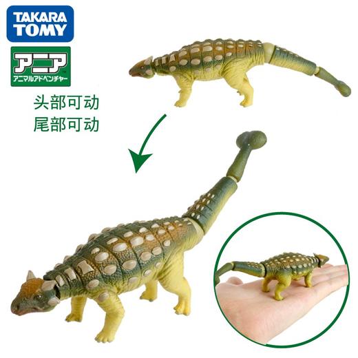 安利亚-ANI-895657甲龙 商品图3