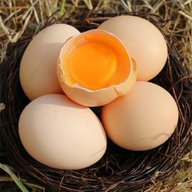 业主福利~【平谷柴鸡蛋】60枚/礼箱