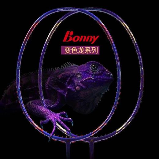 波力羽毛球拍310成人男女室外耐磨 商品图2