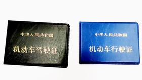 驾驶证夹行驶证夹