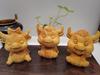 幸运牛°黄杨小摆件 商品缩略图1