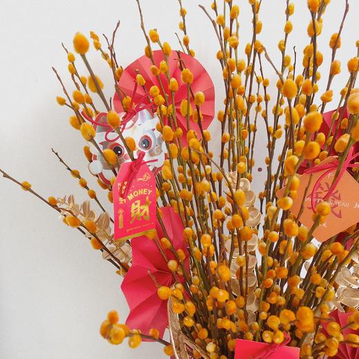 新年旺运  步步生金 商品图2