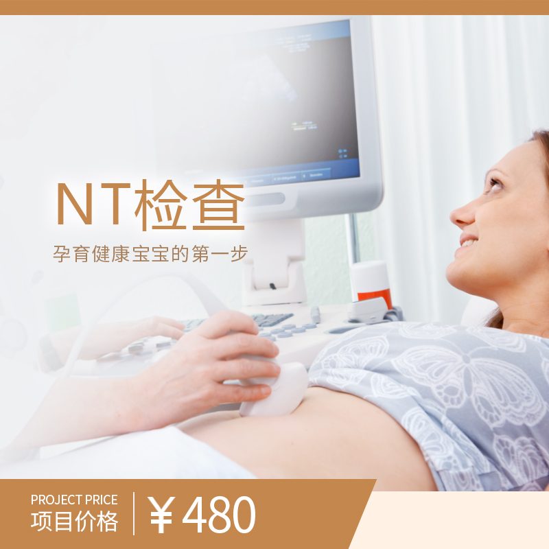 NT检查(仅限单胎使用)