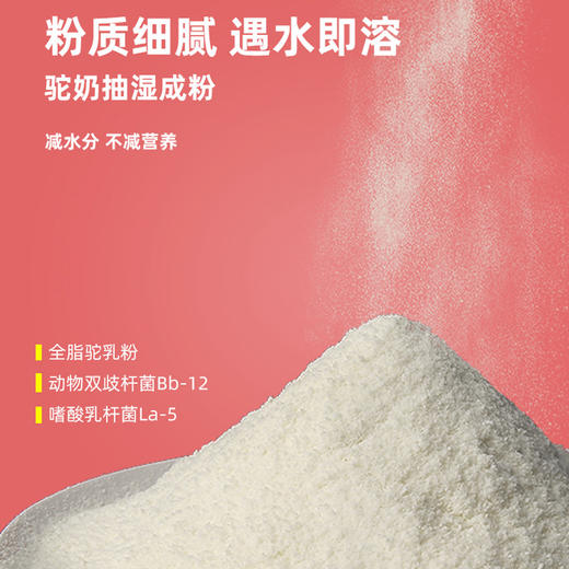 那拉丝醇牌驼奶粉300g/罐 商品图2