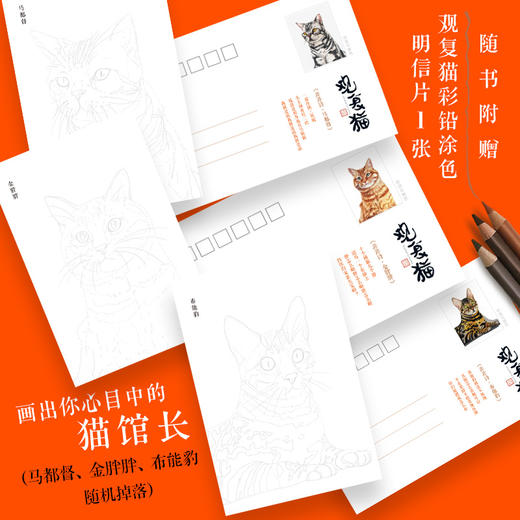 观复猫 妙笔生猫非非诗马未都 著 猫馆长 GFM天团大集结 观复博物馆 中国传统文化 中信出版 商品图2