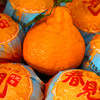 耙耙柑10斤 商品缩略图1